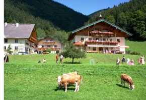 Отель Am Ferienbauernhof Schmiedbauer com Salzkammergut  Файстенау